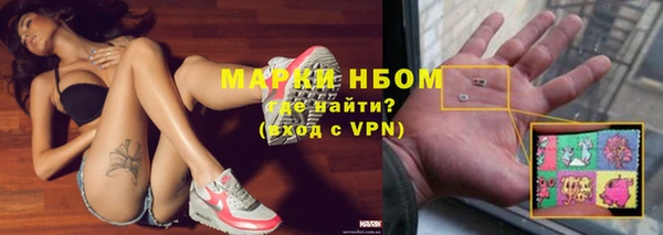 амф Новодвинск