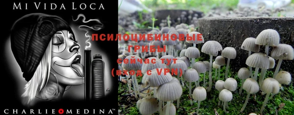 хмурый Балабаново