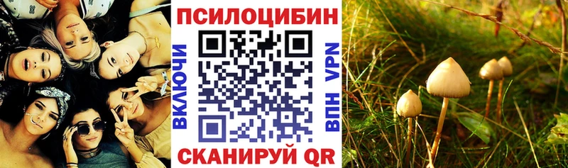 Псилоцибиновые грибы ЛСД  omg маркетплейс  Топки 